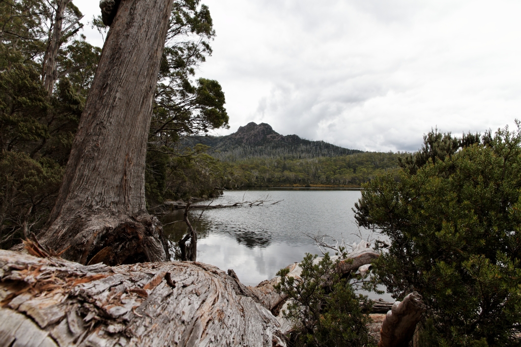 19 - Lake St Clair NP (33).jpg